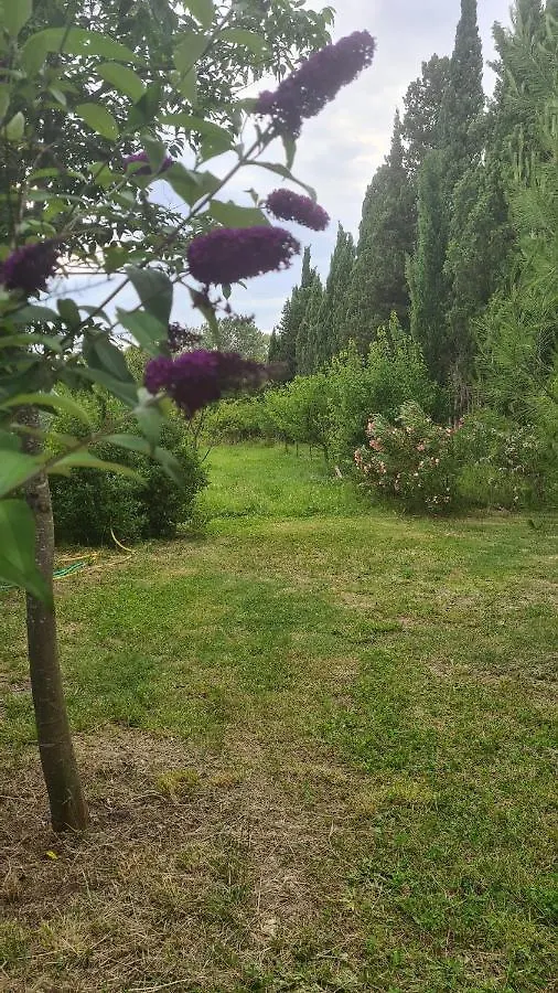 Toscane Saint-Rémy-de-Provence Francia